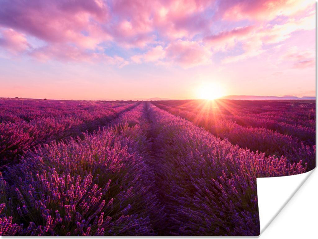 MuchoWow Poster Lavendel - Blumen - Frankreich 40x30 cm - Plakate für die Wände - Poster Wohnzimmer