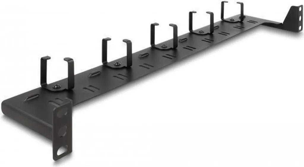 Delock - Verlegetafel für Rack-Kabelmanagement - Schwarz - 1U - 48.3 cm (19")