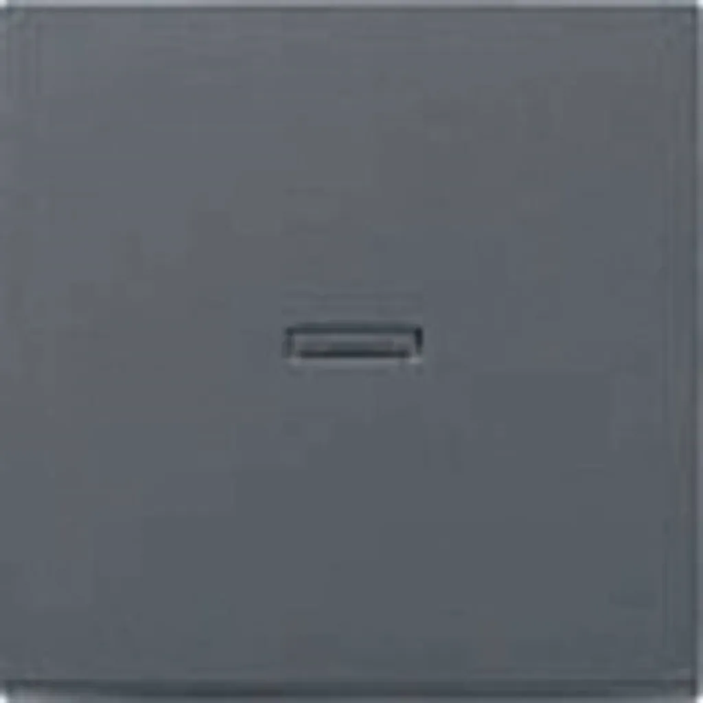 Module de commande Gira Système 55 anthracite pour rénovation habitat - 2