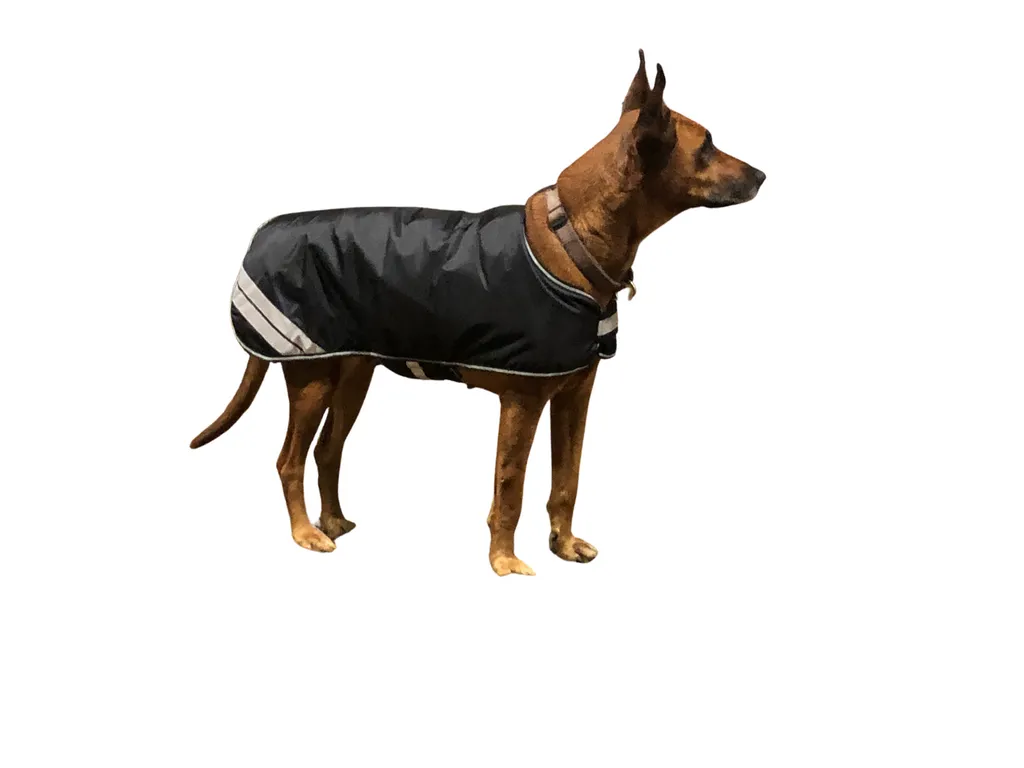 Offerta Cappotto Cani HorseGuard 35cm Nero Riflettente - Compra Ora