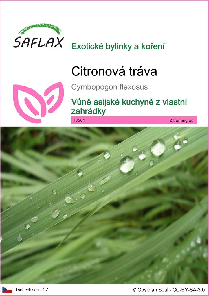 SAFLAX - citronová tráva - Cymbopogon flexosus - 50 Semena Obrázek produktu 