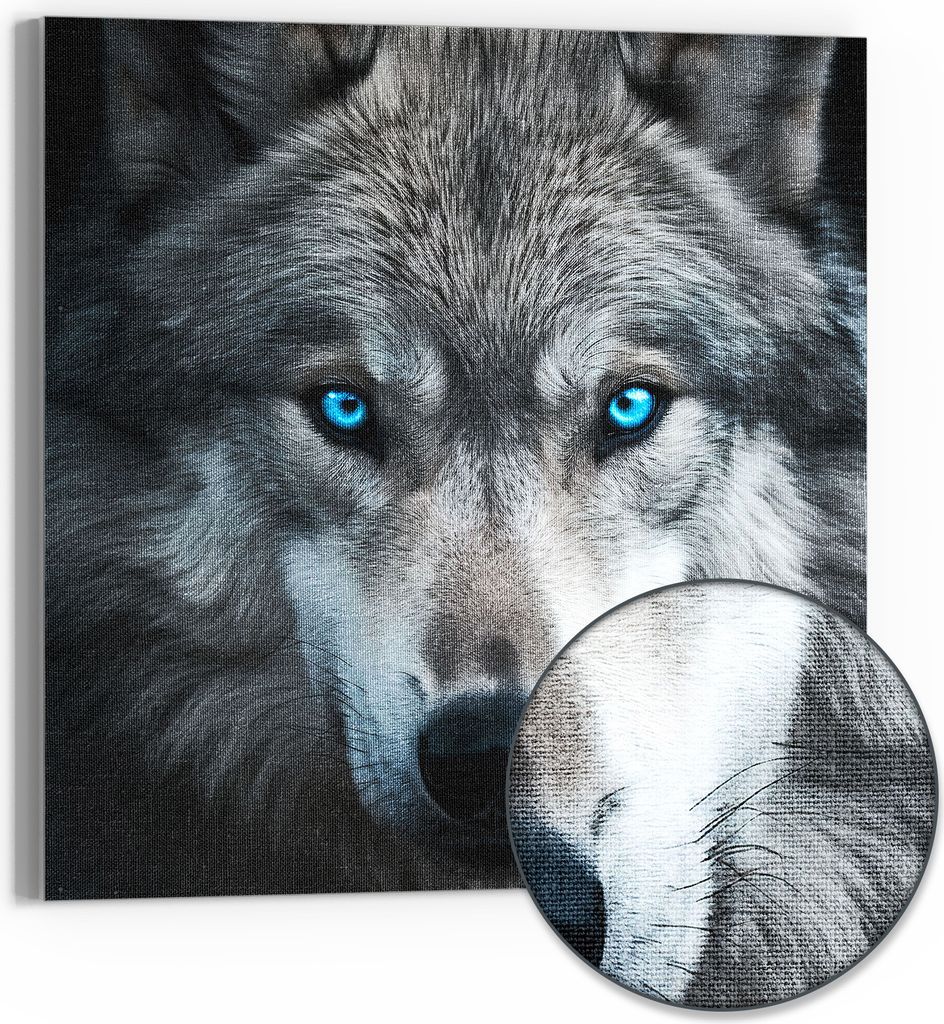 DEQORI Hybrid Leinwand Bild 30x30 cm 'Eiskalter Blick' Wandbild Glas flach modern