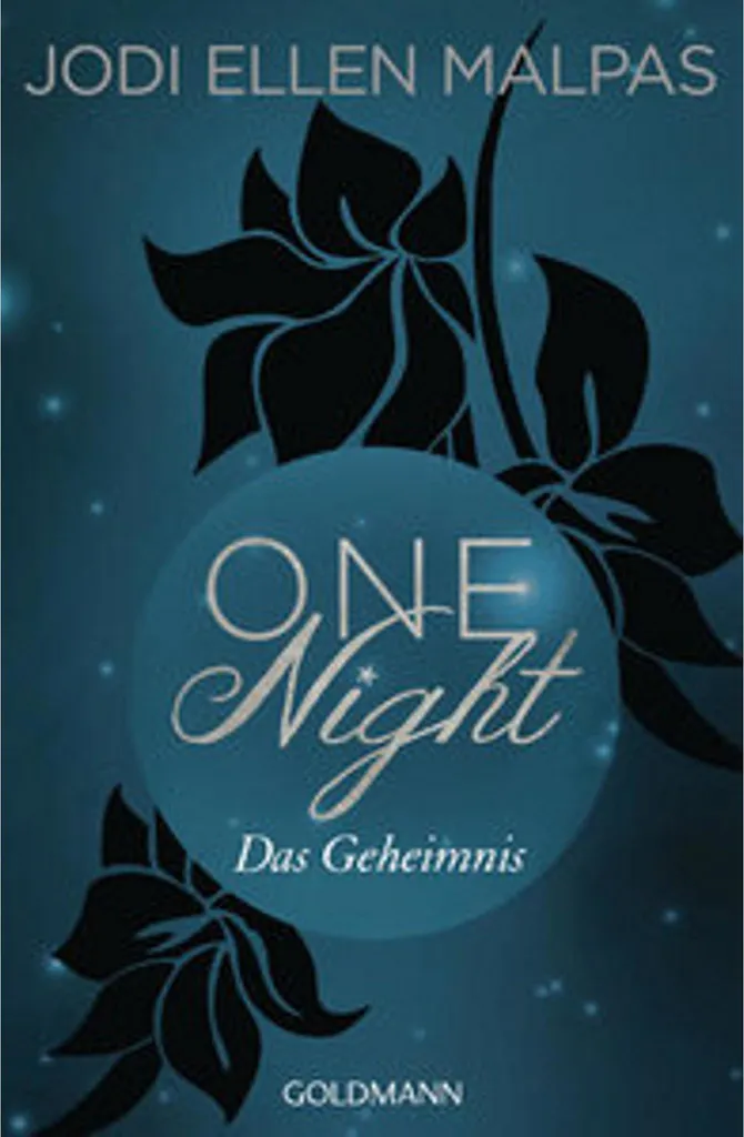 One Night Das Geheimnis Jeu de Cartes Tactique et Mystère Haute Qualité