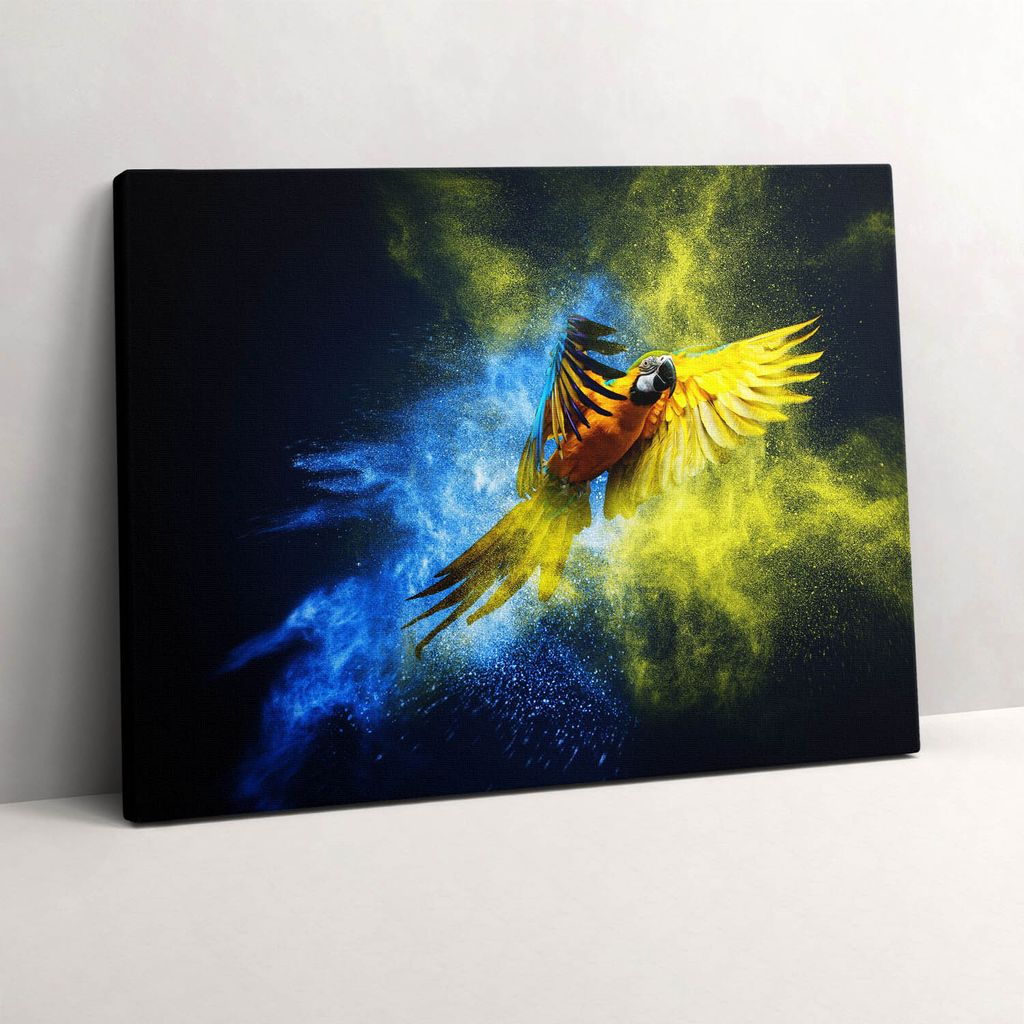 Bunter Papagei – Leinwandbild Wandbild – 80x60 cm – Leinwandbilder – Wandbilder – Schlafzimmer – Flur