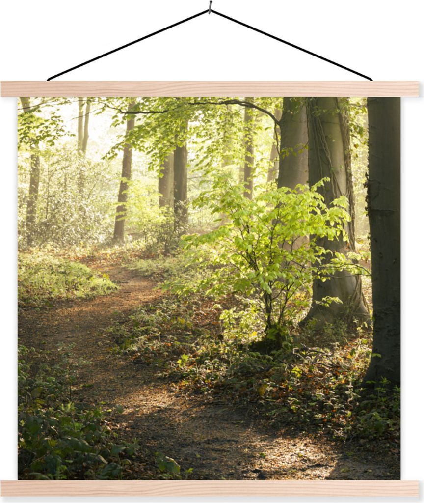MuchoWow Textilposter Wald - Bäume - Weg - Sonne - Pflanzen - Laub - Natur 40x40 cm mit holzfarbenen Rahmen - Posterleiste