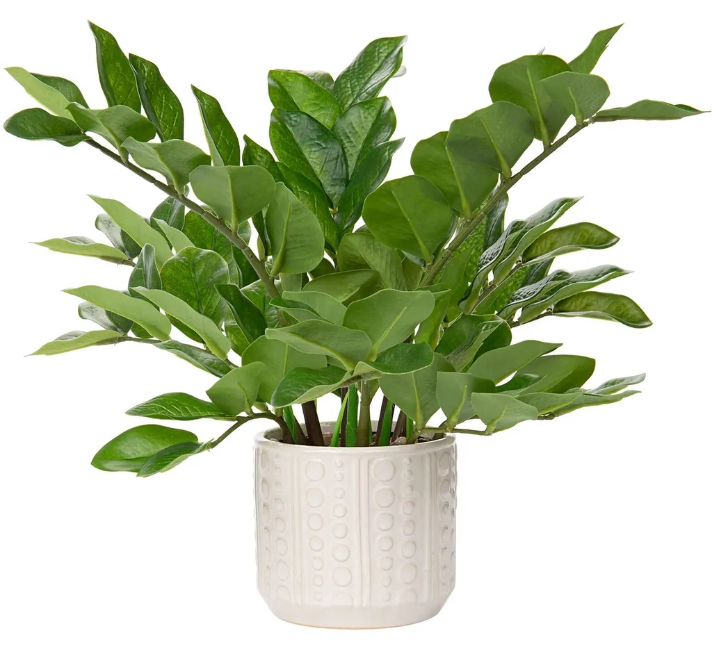 Plante artificielle pour salle de bains et bureau sans lumière