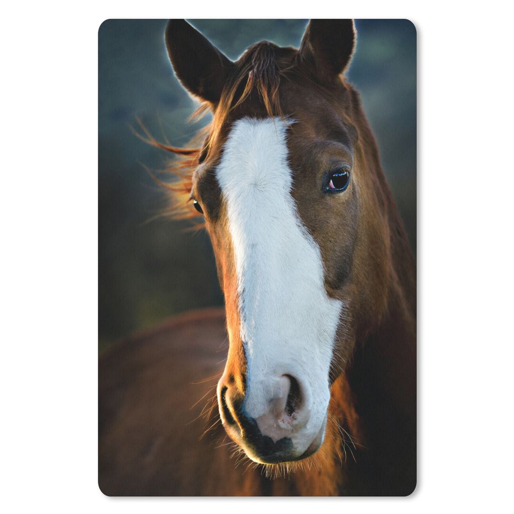 MuchoWow Mauspad Mousepad Pferd - Kopf - Licht 40x60 cm - Mousepads - Maus Mat - Pad - Mausunterlage - Schreibtisch Accesoire