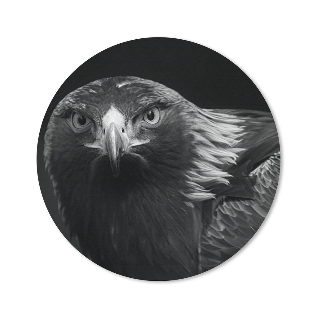 MuchoWow Mauspad Mousepad Bussard - Vogel - Tiere - Schwarz - Weiß 40x40 cm - Mousepads - Maus Mat - Pad - Mausunterlage - Schreibtisch Accessoires