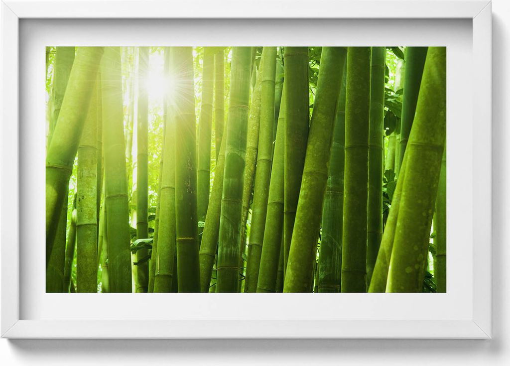Grüne Bambushalme– Wandbild mit Rahmen – Gerahmtes Bild – Wanddekoration – 60x40 cm – Schwarz Rahmen