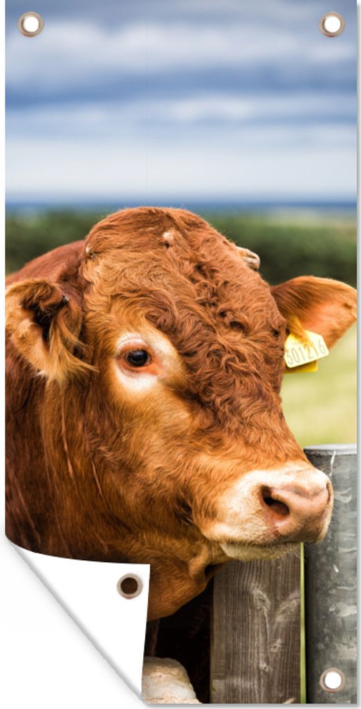 MuchoWow 40x80 cm Outdoor-Poster Gartendeko Sichtschutz Garten Poster für den Garten Schottischer Highlander - Berg - Zaun