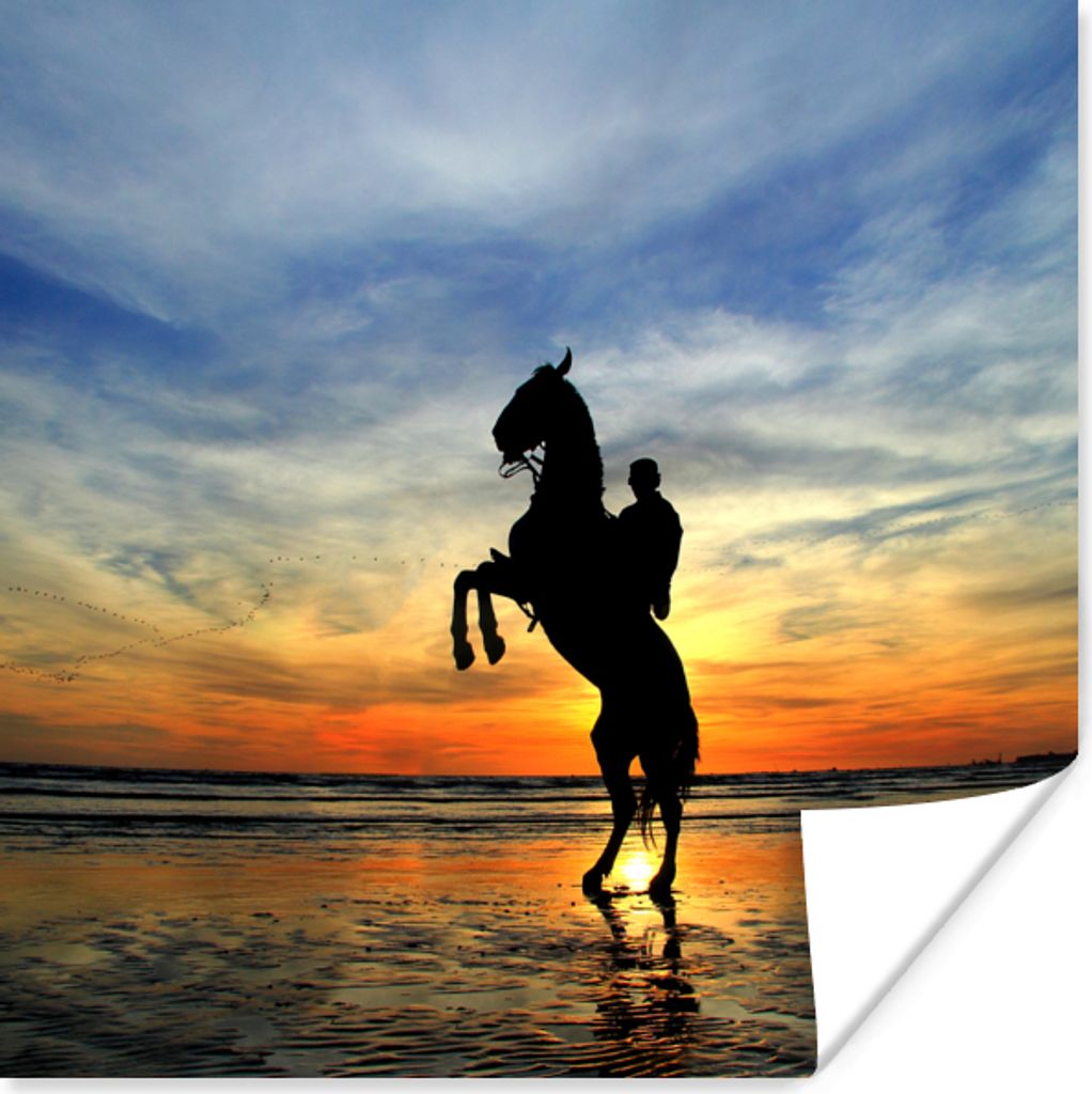 MuchoWow Poster Pferd - Himmel - Schatten 75x75 cm - Wand Dekoration