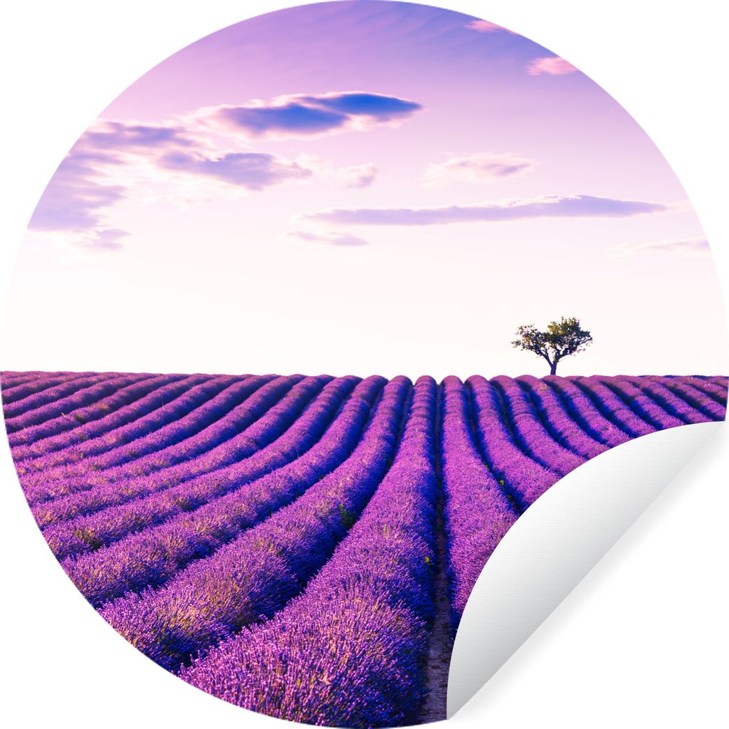 MuchoWow Runde Wandtattoo - Wandsticker Tapete Aufkleber Lavendel - Bäume - Lila - Blumen Ø 50 cm Selbstklebend und Repositionierbar - Wandaufk...