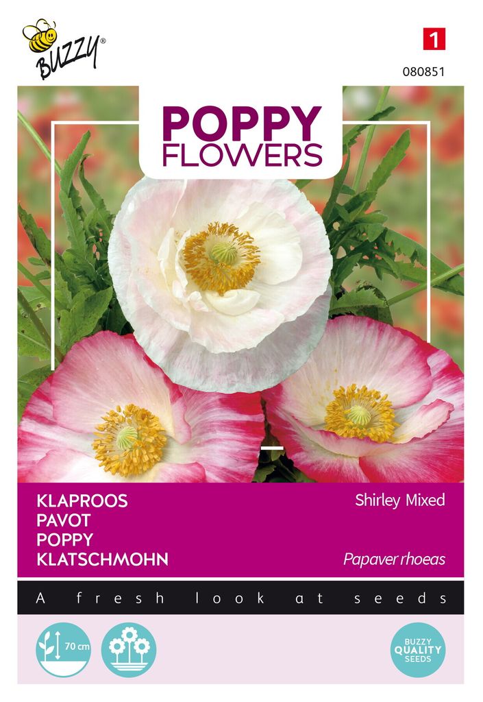 Buzzy Poppy Flowers Rhoeas Shirley Einfache Mischung Samen - Ca. 1 gr | Buzzy_080851