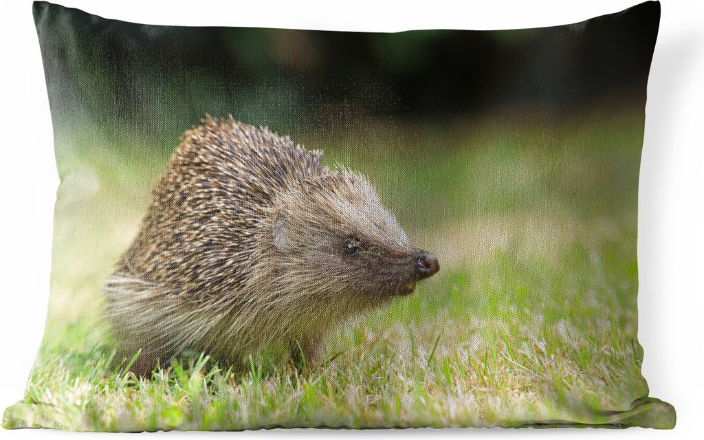 MuchoWow Outdoor Kissen - Igel im Garten - 60x40 cm - Wetterfest - Lounge Kissen - Zierkissen - Kissen für Innenräume