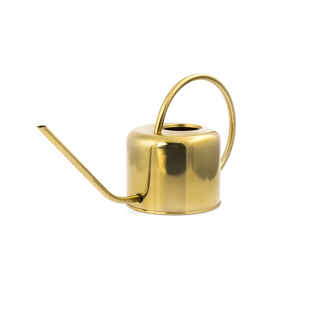 Kikkerland WC01, Gold Produktbild 