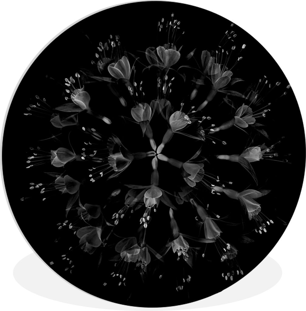 MuchoWow Rundes Wandbild - Runde Bilder Blume - Lila - Blau - Makro - Schwarz Ø 30 cm Kreis Wanddekoration Kunststoff - Wandkreis - Wandschmuck ...