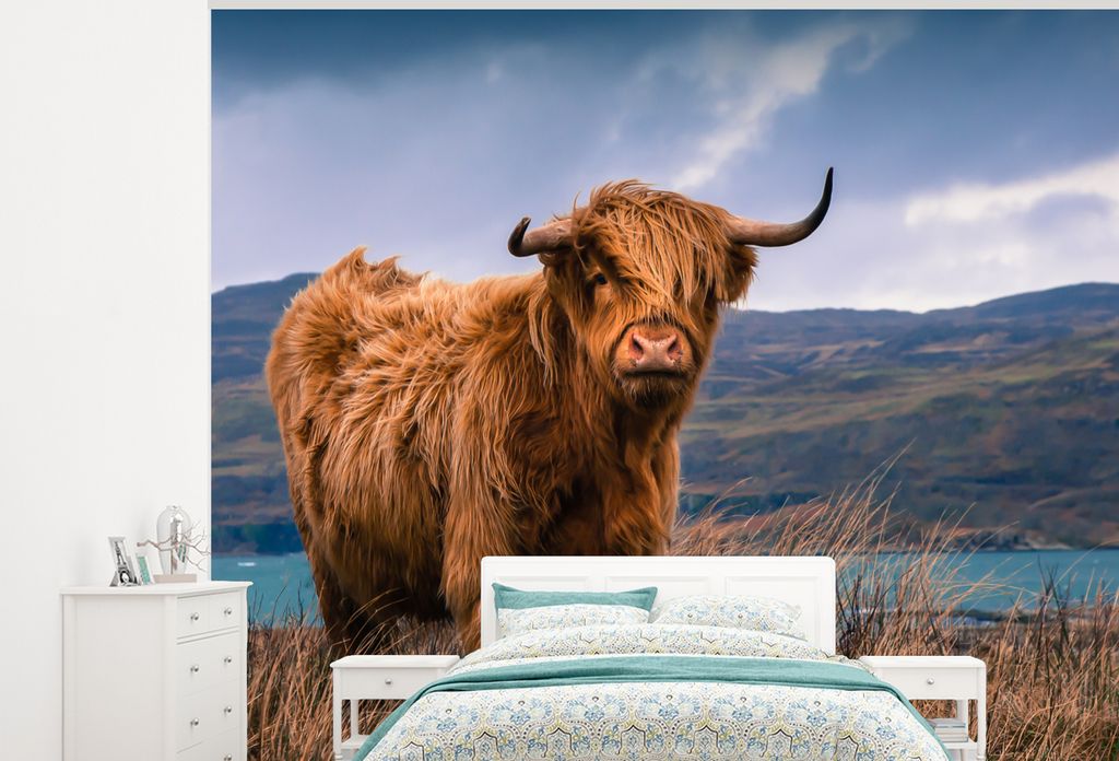 MuchoWow Fototapete für Wohnzimmer oder Schlafzimmer Wandtapete Vinyl Motivtapete Schottische Highlander - Himmel - Natur - 275x220 cm - Gemustert