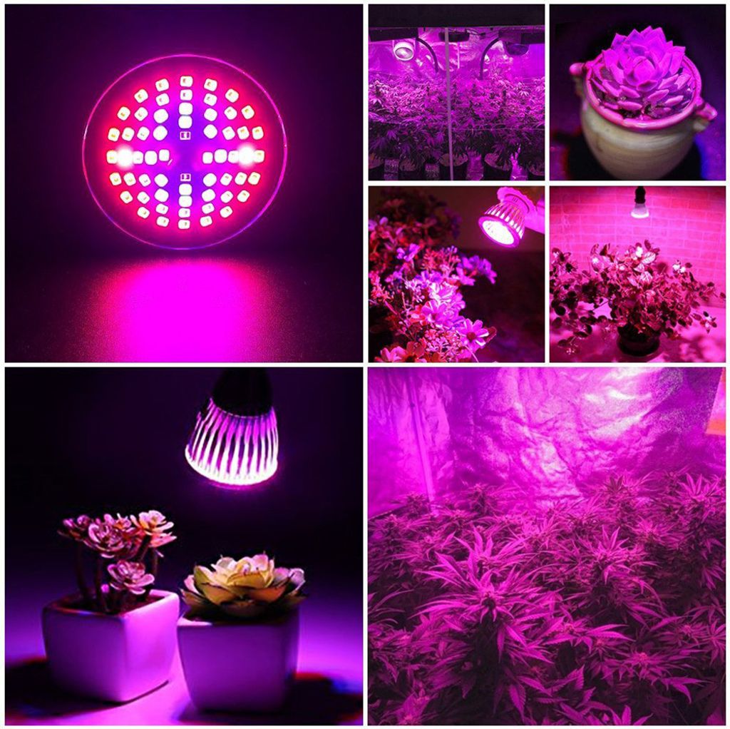 A collage of images showing a plant grow light and plants under its illumination.