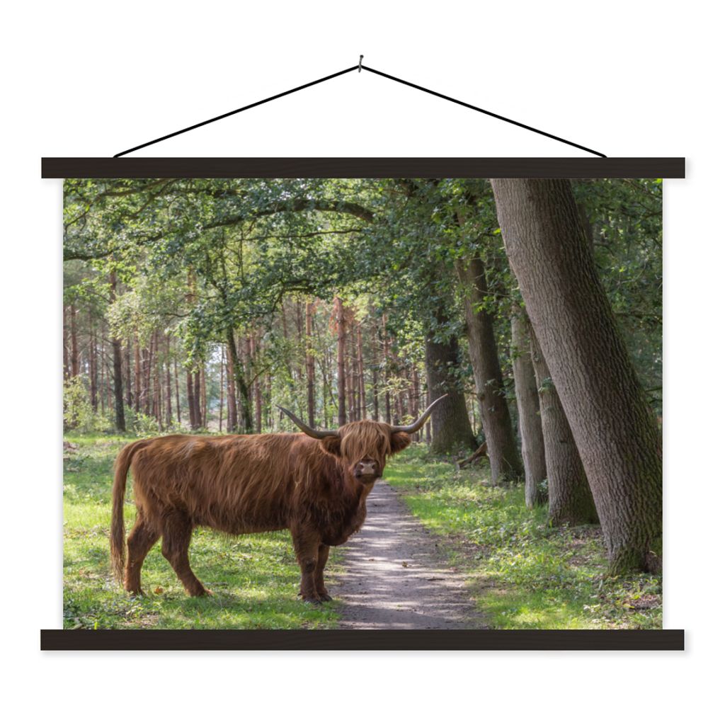 MuchoWow Textilposter Schottischer Highlander - Kröte - Baum 150x113 cm mit schwarzem Rahmen - Wohnzimmer