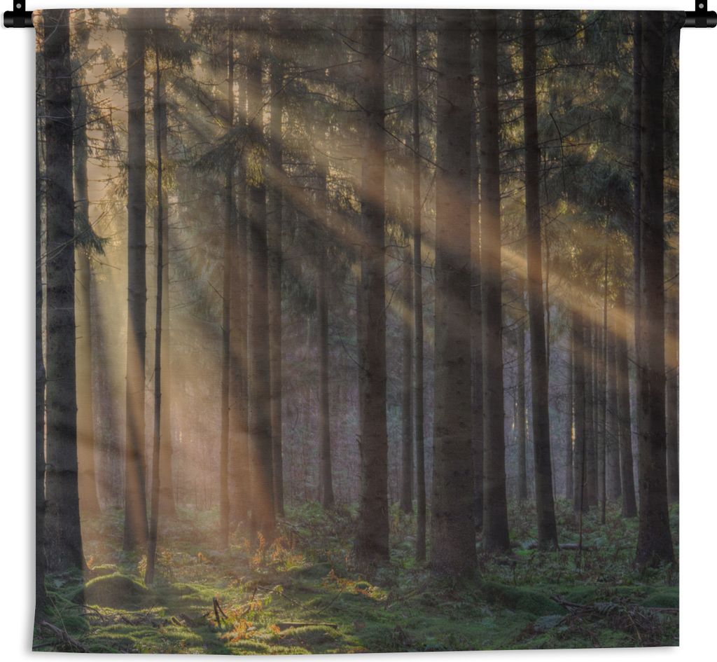 MuchoWow Wandteppich Wandbehang Bäume - Wald - Sonne - Pflanzen 90x90 cm Tapisserie Dekoration Wandtuch - Wandaufhänger