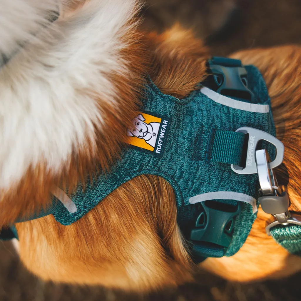 Harnais Ruffwear Front Range Flex Deep Teal XXS pour petit chien - 4