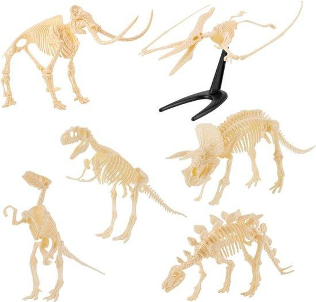 Fossilien-Kollektion Miniaturdinosaurus-Skelette für Sammler - 6 Exemplare