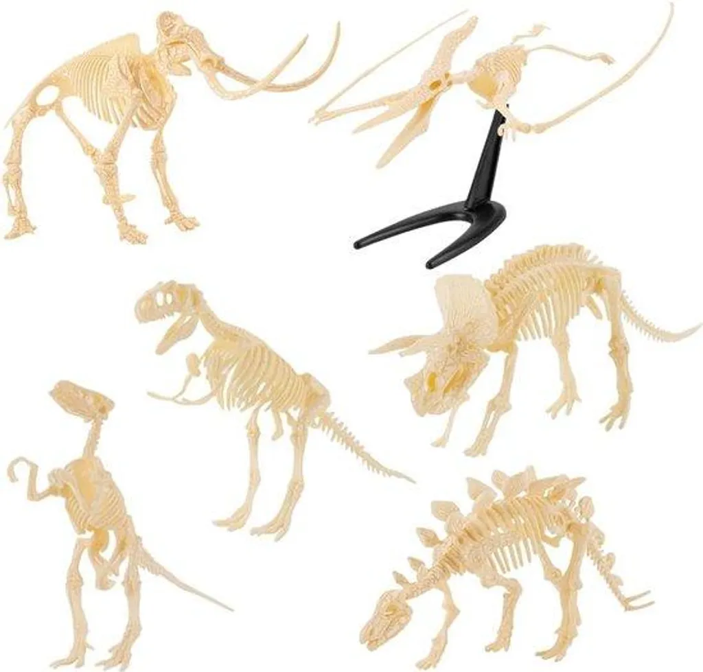 Mini-squelettes de dinosaures - Pack de 6 fossiles pour collectionneurs