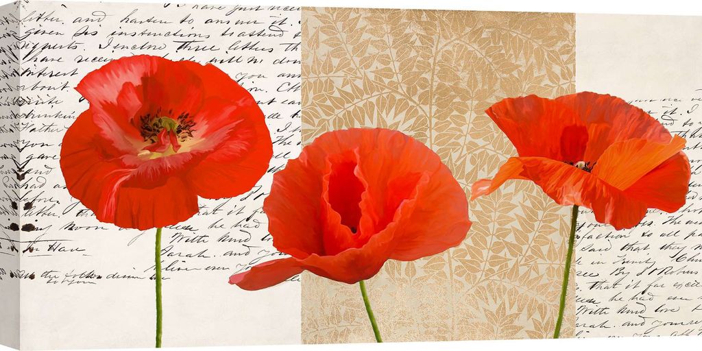 Leinwandbilder mit Blumen im Shabby Chic-Stil - Elena Dolci - Drei Mohnblumen - 100x50 cm