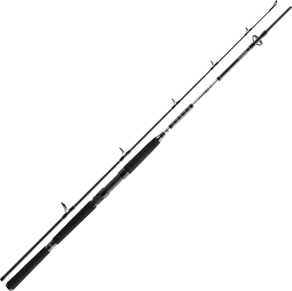 DAIWA BG Offshore Boat, 2,1m, 6,89ft, 150-400g, 2 Teile, Produktbild 