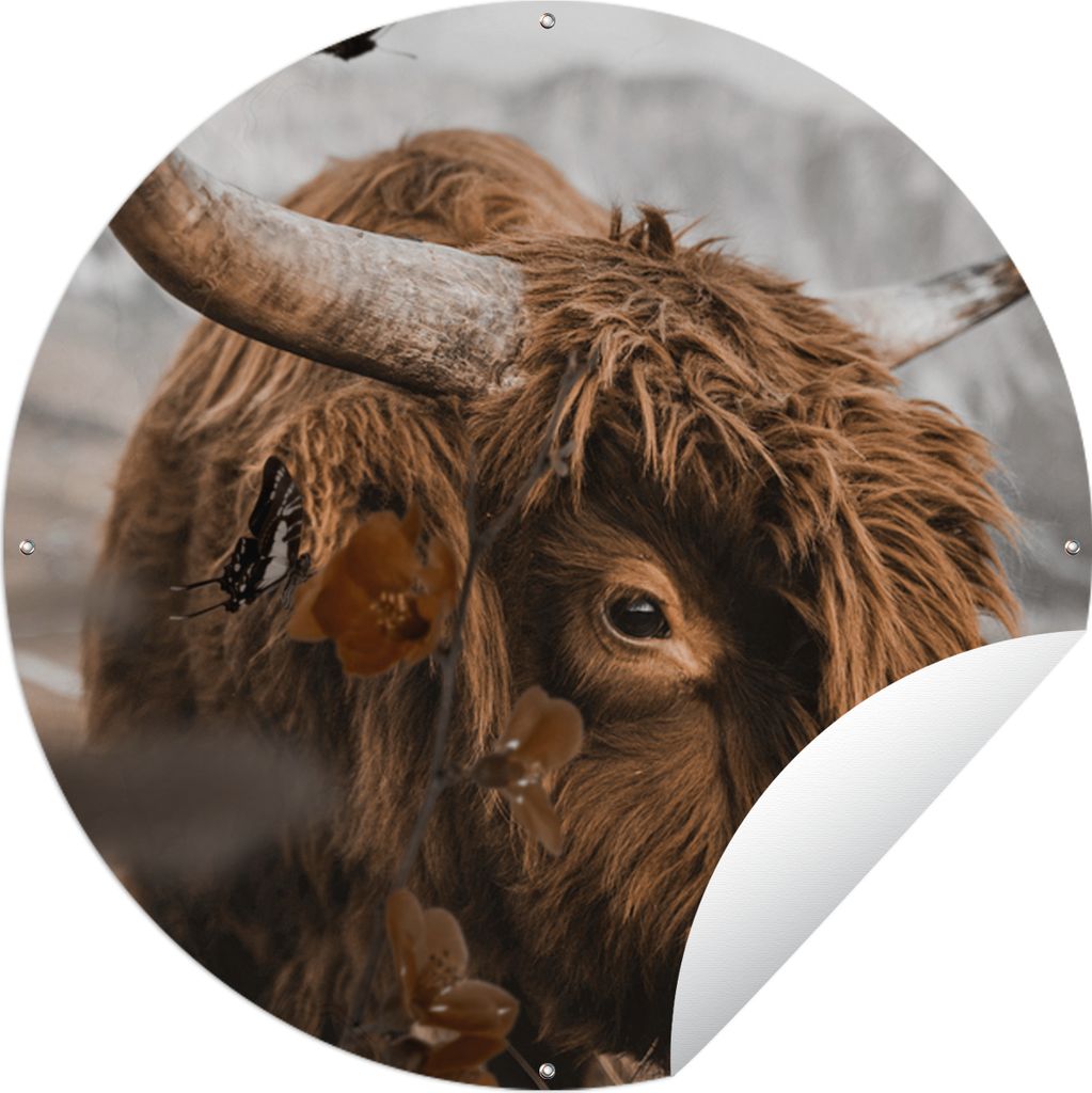 MuchoWow Gartenposter Outdoor-Poster Rund Schottischer Highlander - Schmetterling - Tiere Ø 150 cm Gartendeko Rundes Poster draußen