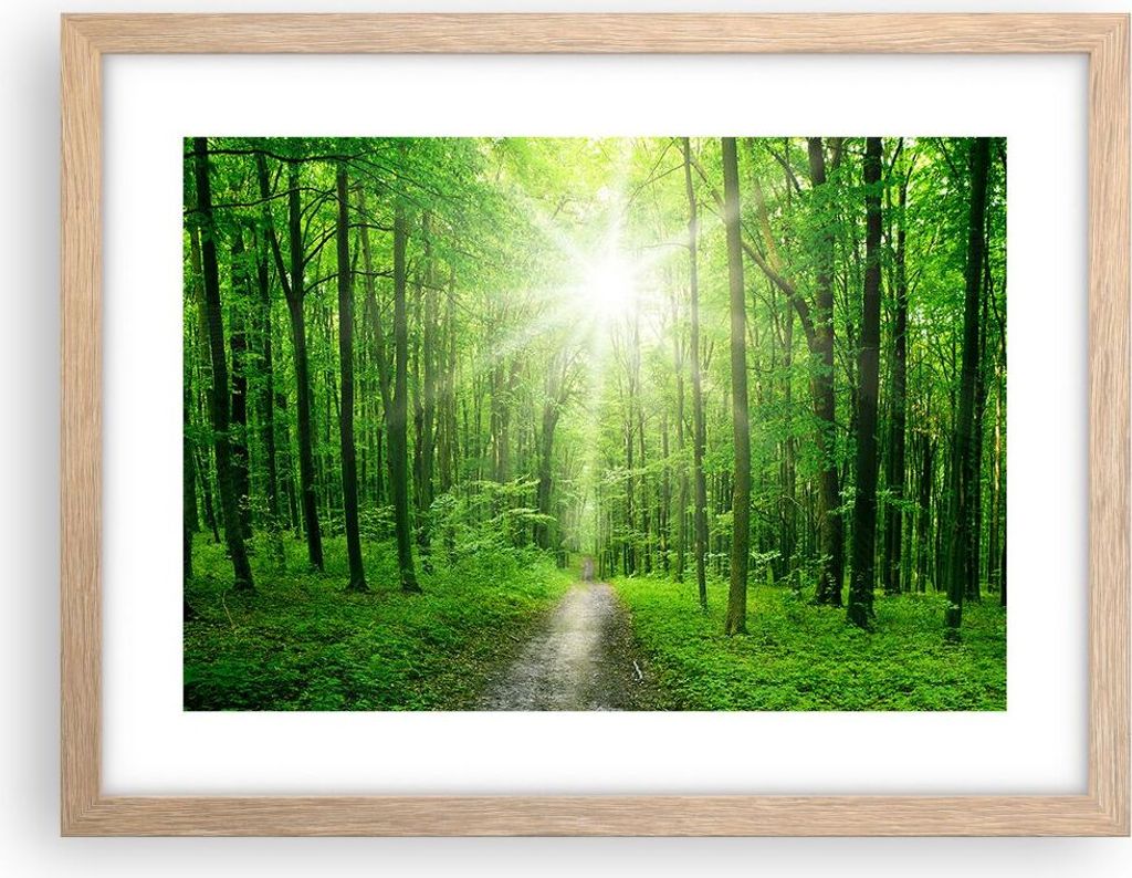 Gerahmtes Poster - Rahmen in heller Eiche - Sonnenstrahlen Wald Sommer - 40x30 cm - Wand Bild - Wanddeko - Wandbilder - Wandposter - Bilderrahmen -...