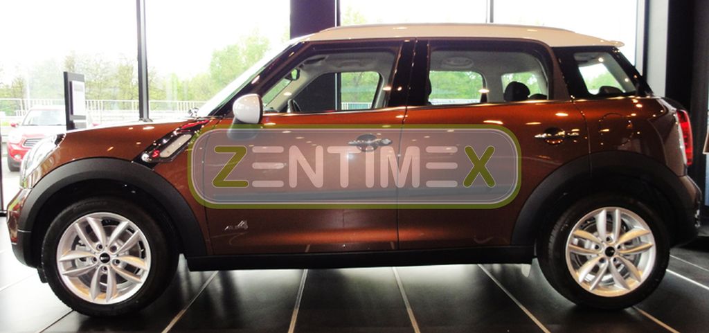 Schutzleisten kompatibel mit Mini Cooper Countryman R60 2010- Kombi 5-türer