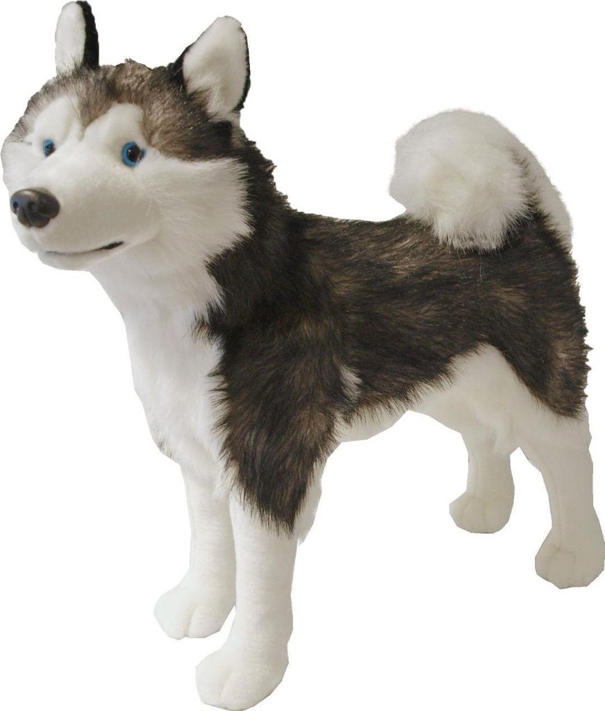 Plüschtier Husky stehend 53 cm