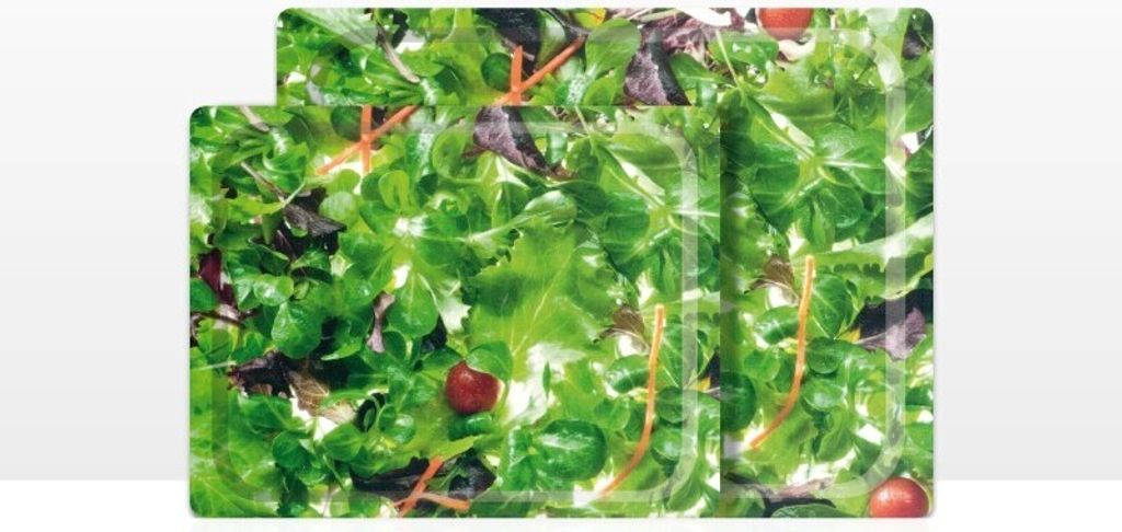 DON HIERRO - Serviertabletts, deko tablett rechteckig, 2er Sparpack (42 x 29 und 48 x 37 cm)