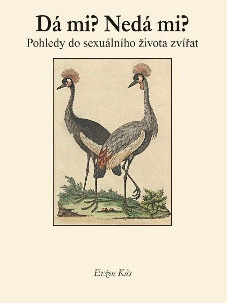 Tout savoir sur la vie sexuelle des animaux avec le livre de Kůus