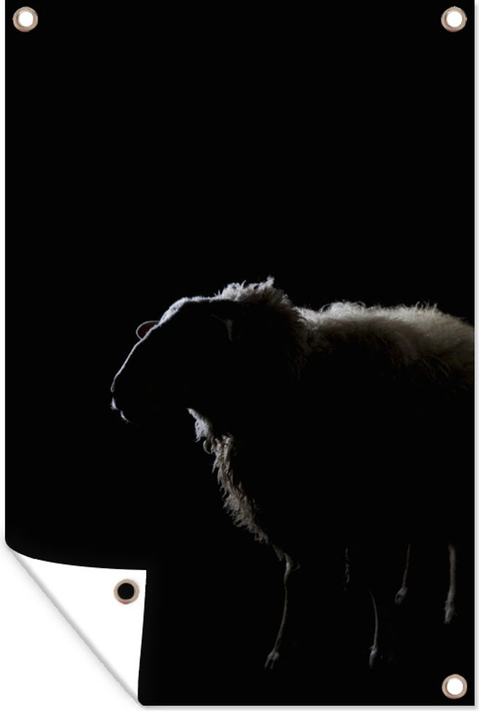 MuchoWow 60x90 cm Outdoor-Poster Gartendeko Sichtschutz Garten Poster für den Garten Schaf - Schatten - Tier