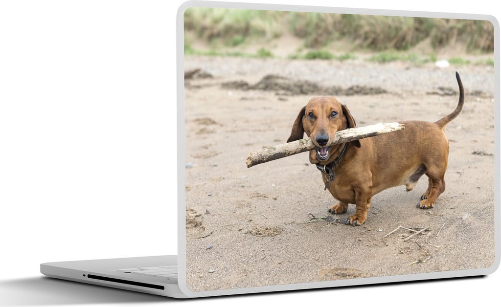MuchoWow Laptop Aufkleber Sticker Cover Ein schöner Dackel mit einem Stock im Maul 40x30 cm - Laptop Dekoration - Selbstklebend