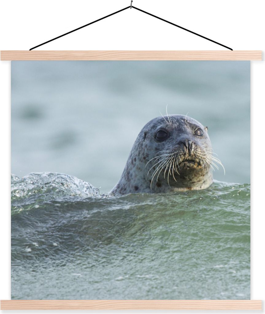 MuchoWow Textilposter Nordsee - Seehund - Wasser 120x120 cm mit holzfarbenen Rahmen - Textil-Poster