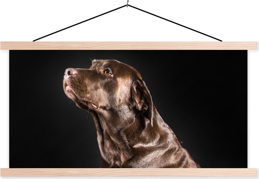 MuchoWow Textilposter Hund - Braun - Porträt 120x60 cm mit holzfarbenen Rahmen - Klemmleiste