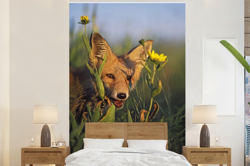 MuchoWow Fototapete für Wohnzimmer oder Schlafzimmer Wandtapete Vinyl Motivtapete Tiere - Fuchs - Sonne - 200x300 cm - Wanddekorationen