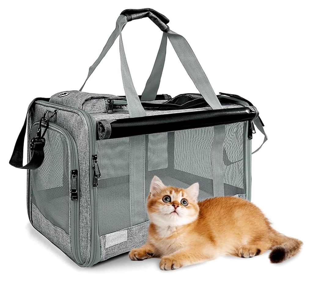 Transportbox für Katzen – Faltbare Katzentransportbox bis 9 kg, atmungsaktiv, mit Sichtschutz, 46×30×30 cm