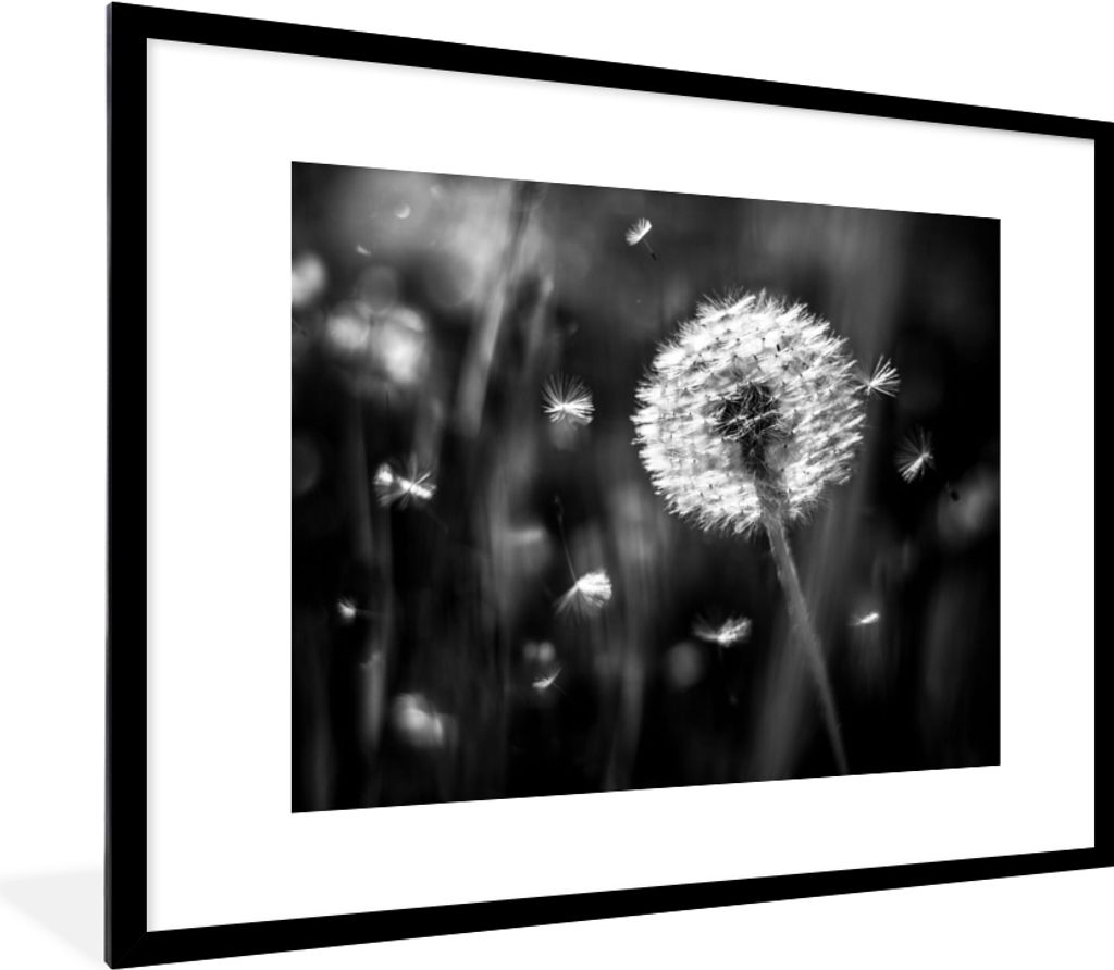 MuchoWow Gerahmtes Poster Löwenzahn - Schwarz - Weiß - Pflanze 80x60 cm - Poster mit Schwarzem Bilderrahmen Wandposter Rahmen Foto Bilder - Sch...