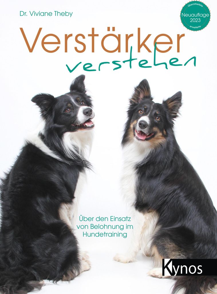 Verstärker verstehen