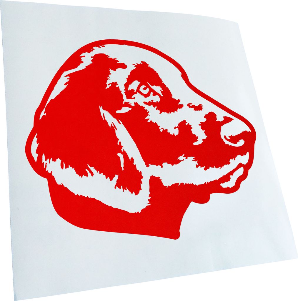 Kiwistar - Autoaufkleber - Flat Coated Retriever Hund - Rot - 60x50cm - Aufkleber für Auto, Laptop, Fahrrad, LKW, Motorrad Mehrfarbig JDM Decal Ra...