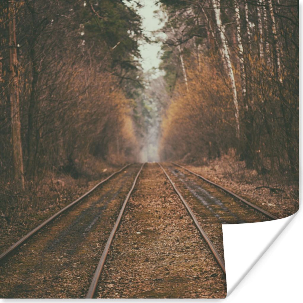 MuchoWow Poster Bahnstrecke - Weg - Wald - Baum 100x100 cm - Babyzimmer