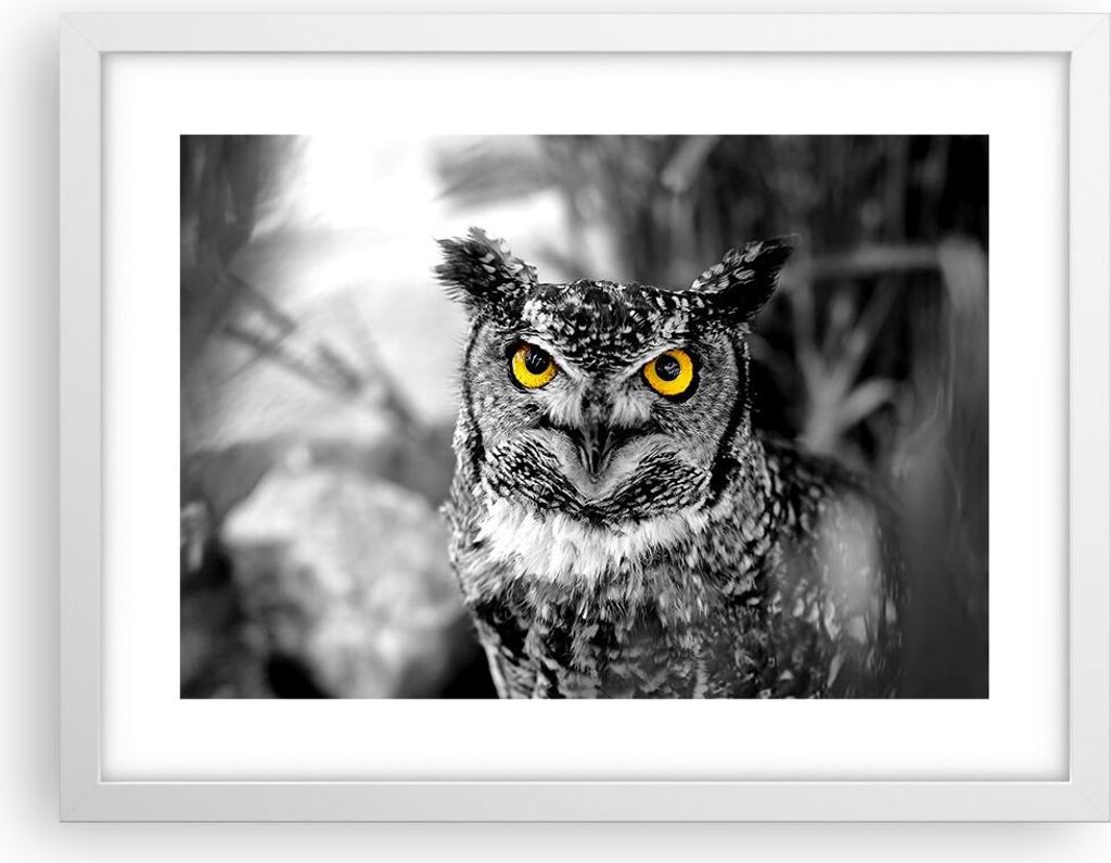 Gerahmtes Poster - Weißer Rahmen - Eule Vogel Natur - 40x30 cm - Wand Bild - Wanddeko - Wandbilder - Kunstposter - Wandposter - Bilderrahmen - Bil...