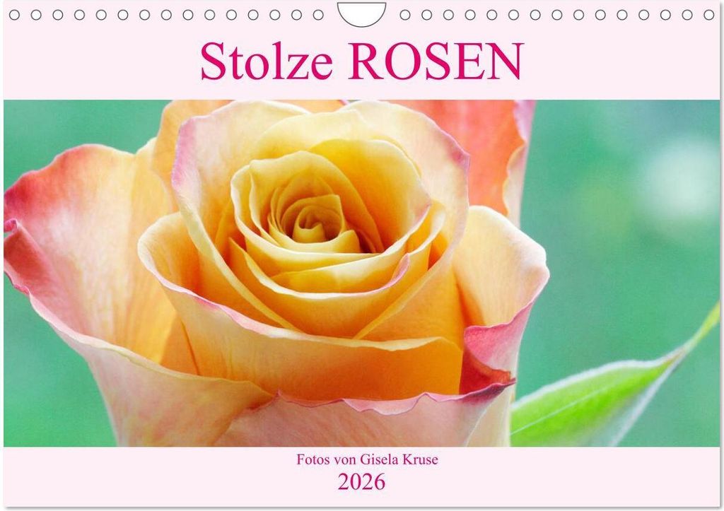 Stolze Rosen (Wandkalender 2026 DIN A4 quer), CALVENDO Monatskalender
