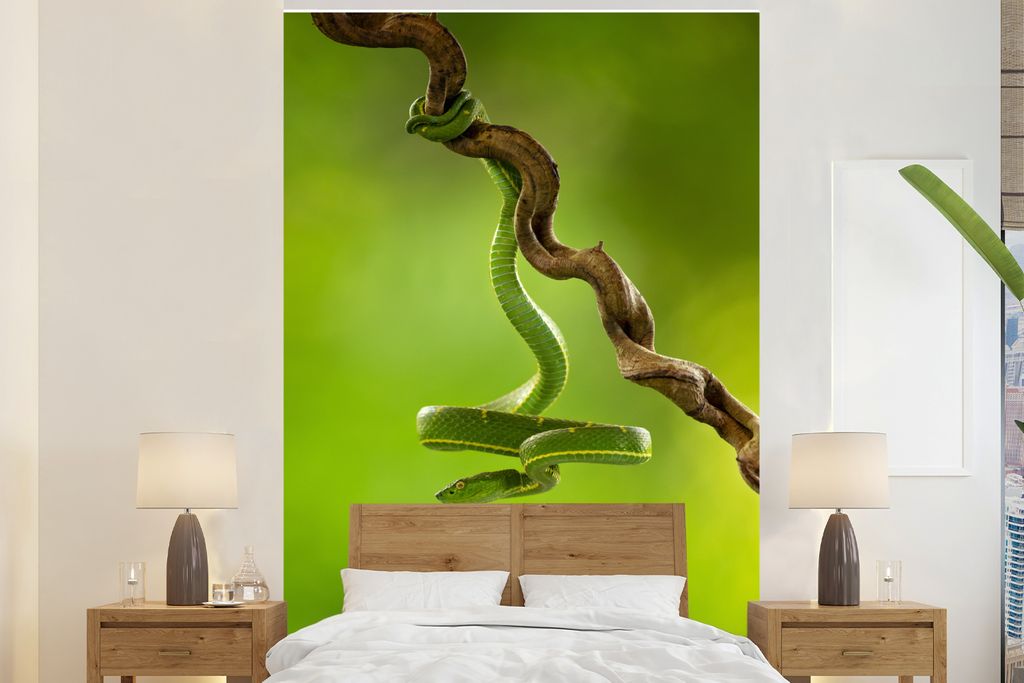 MuchoWow Fototapete für Wohnzimmer oder Schlafzimmer Wandtapete Vinyl Motivtapete Grüne Schlange hängt am Ast - 200x300 cm - Wanddekorationen