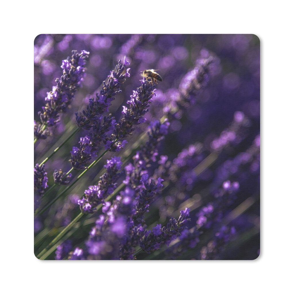 MuchoWow Mauspad Mousepad Nahaufnahme von Lavendel mit Biene 30x30 cm - Mousepads - Maus Mat - Pad - Mausunterlage - Gaming