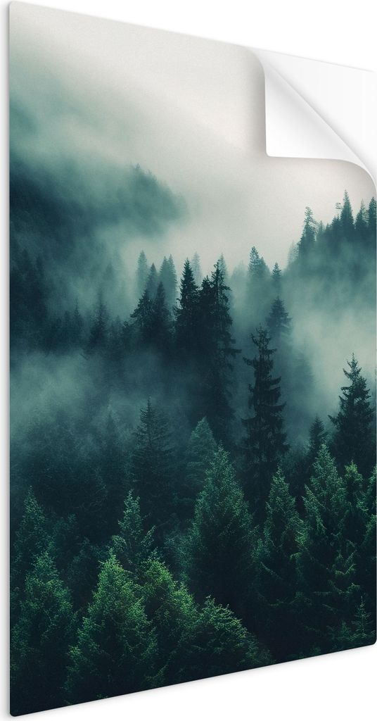 SpaceRebels Bilder Wandsticker 80x120 - Wanddeko Landschaft Wald - Selbstklebende Wandtattoo Wandsticker - Modernes Bild auf PVC-Folie - Wandbild W...